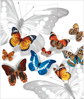 Пакет ПВД Бабочки